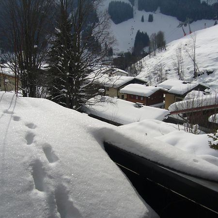 Appartement Bernkogel Saalbach-Hinterglemm Kültér fotó